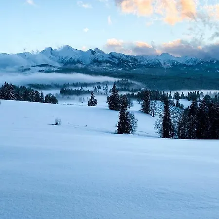 Dağ evi W Sercu Tatr